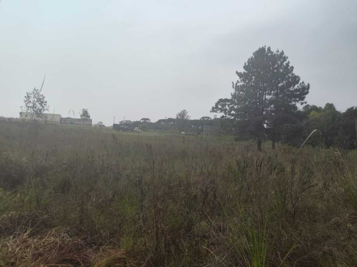 Terreno, 4 hectares - Foto 15