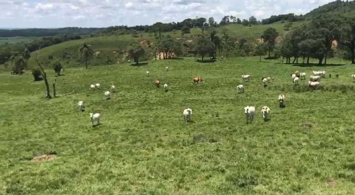 Fazenda, 3 quartos - Foto 8