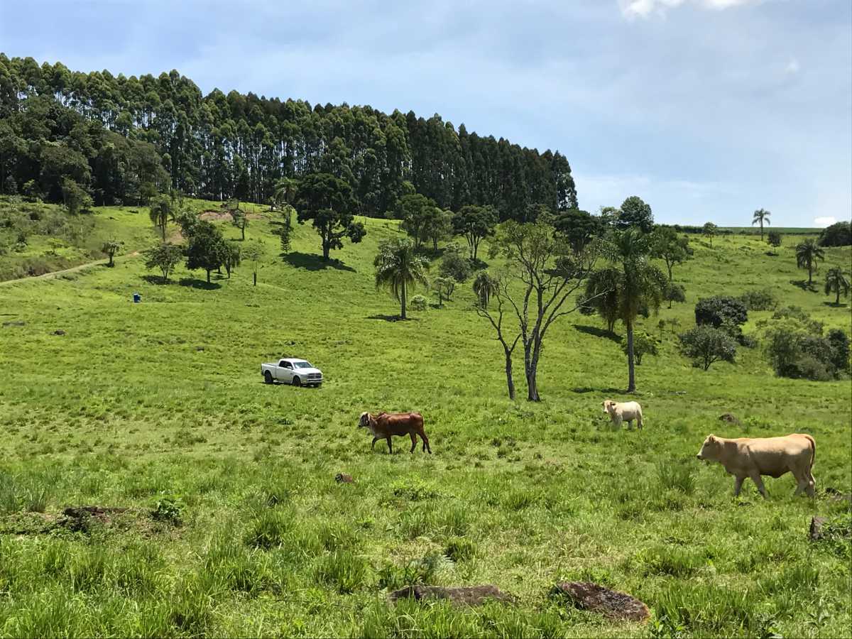 Fazenda, 3 quartos - Foto 9