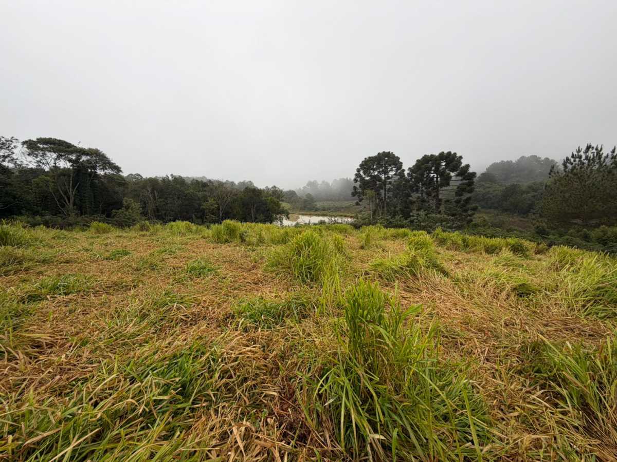 Fazenda, 2 quartos - Foto 3