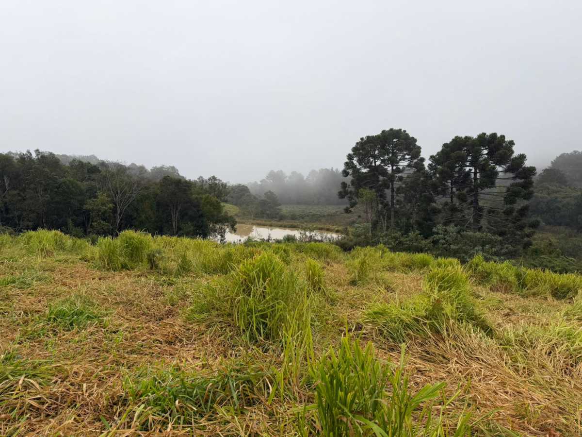 Fazenda, 2 quartos - Foto 5