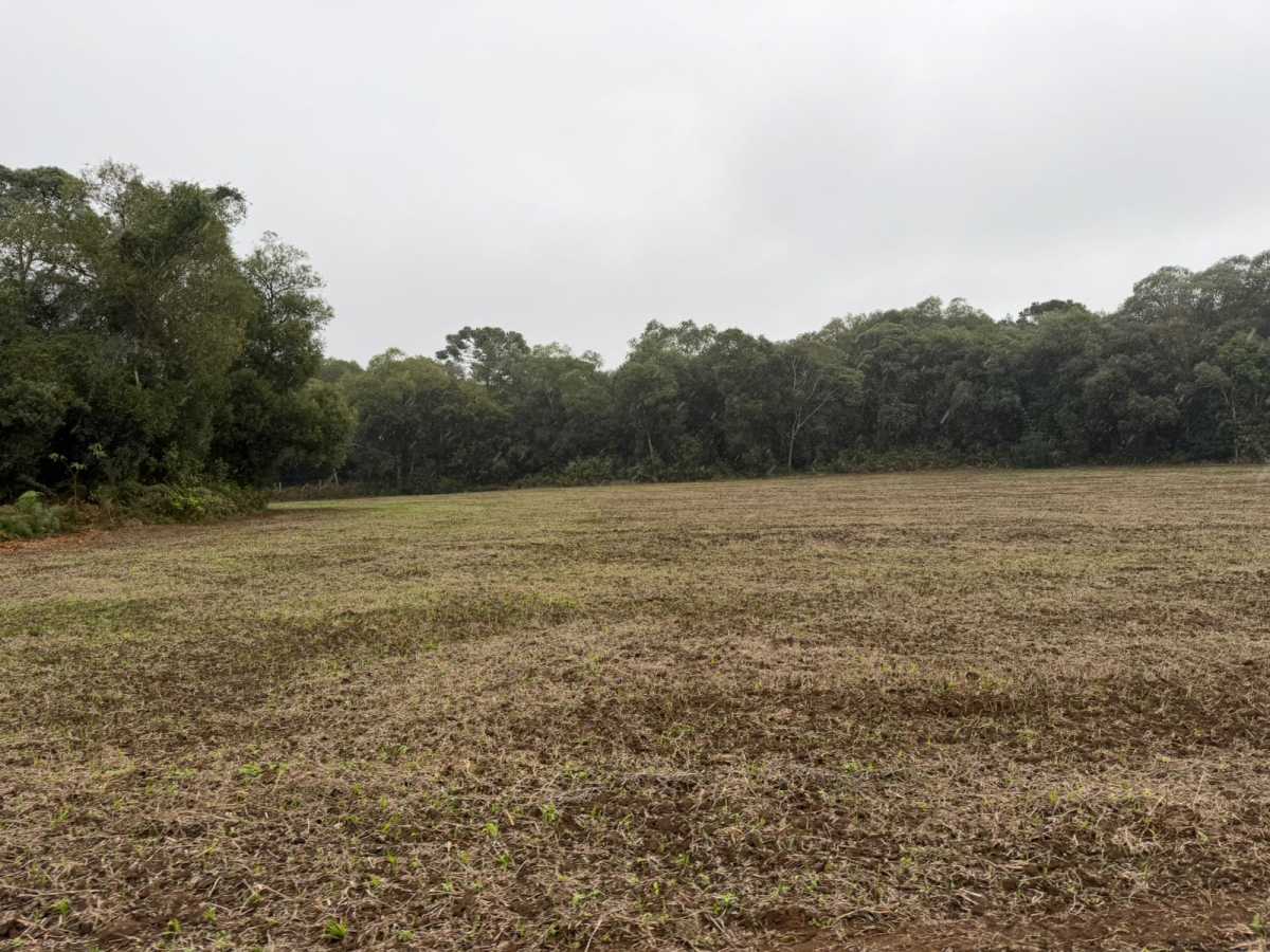 Fazenda, 2 quartos - Foto 6