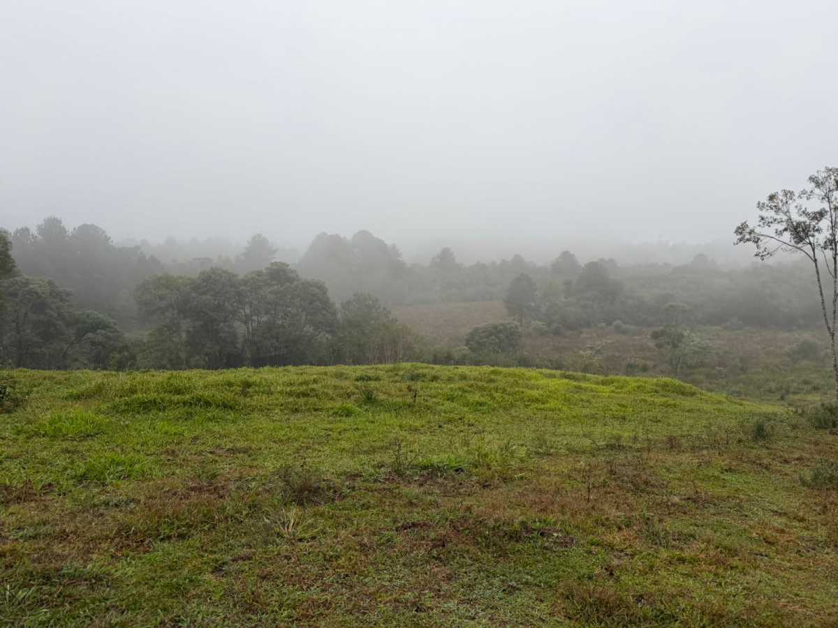 Fazenda, 2 quartos - Foto 8