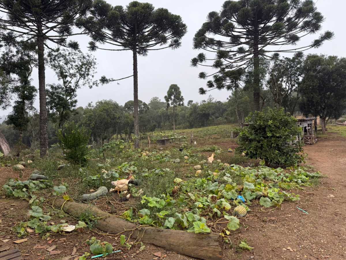 Fazenda, 2 quartos - Foto 9