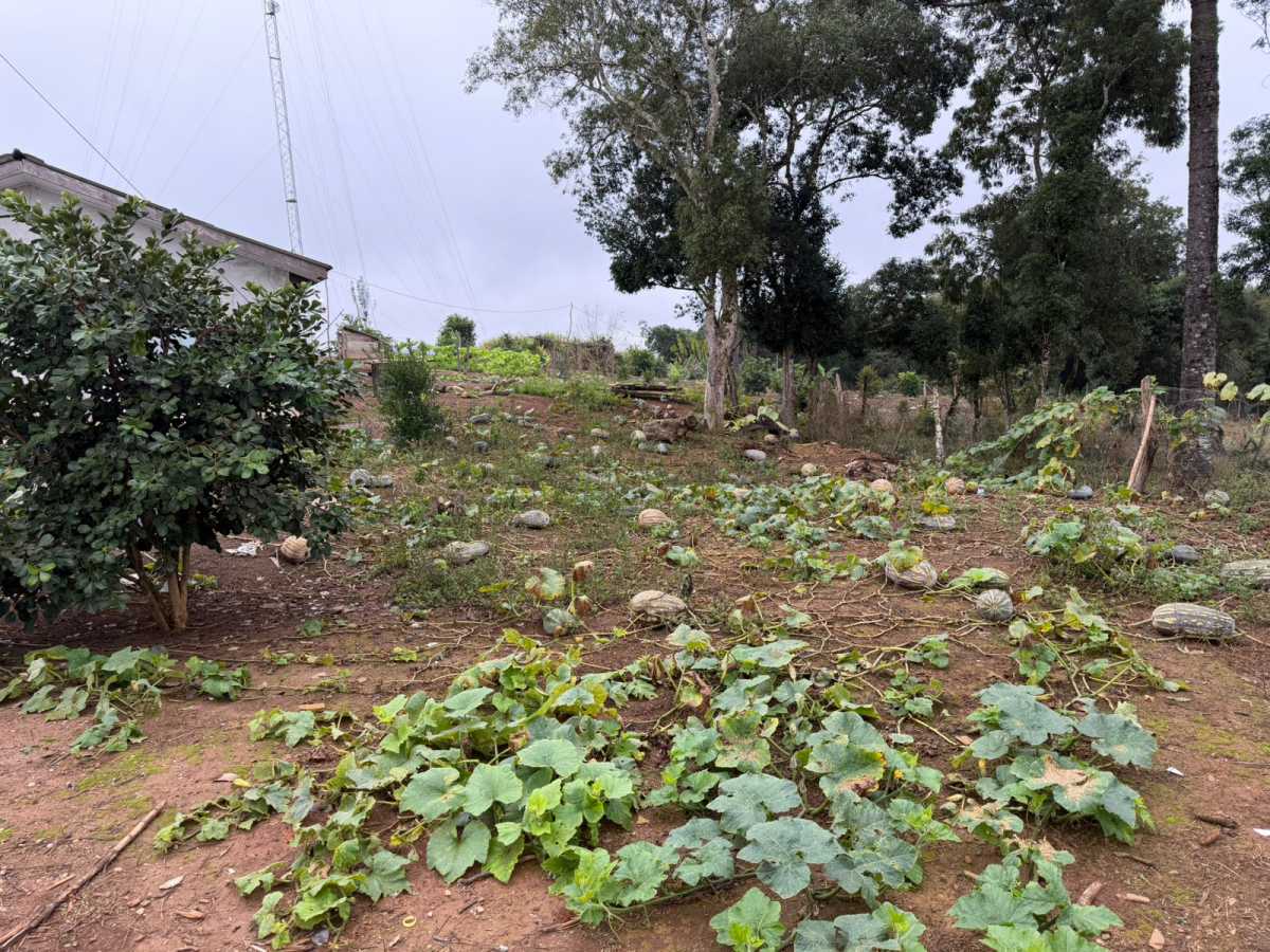 Fazenda, 2 quartos - Foto 14