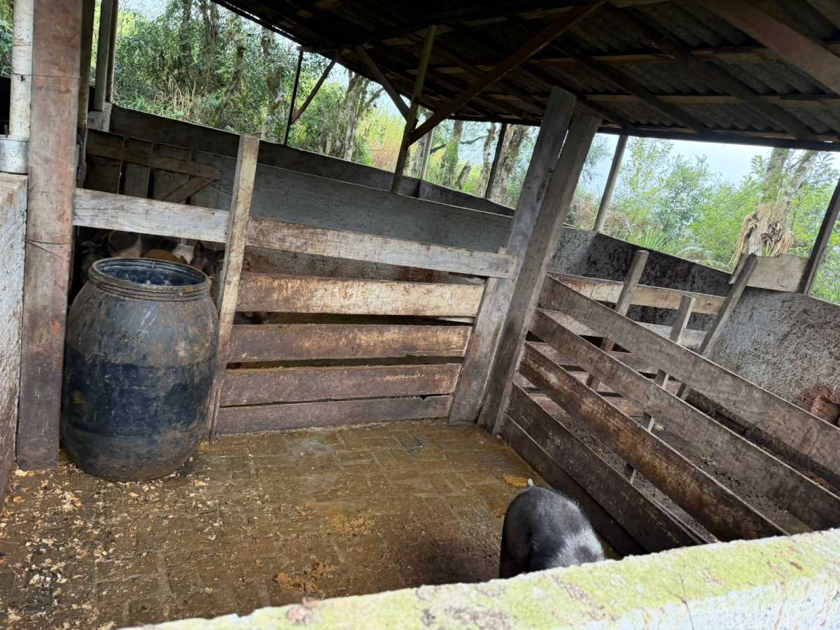 Fazenda, 2 quartos - Foto 18