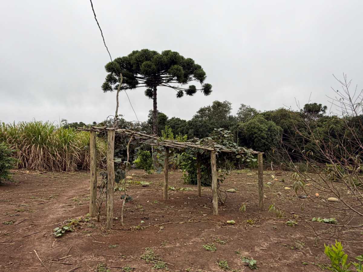 Fazenda, 2 quartos - Foto 19