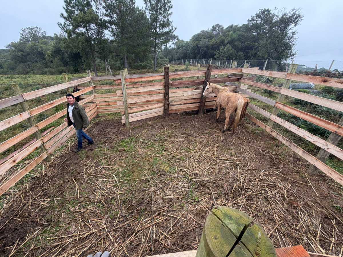 Fazenda, 2 quartos - Foto 22