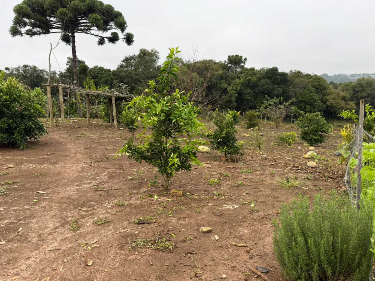 Fazenda, 2 quartos - Foto 29