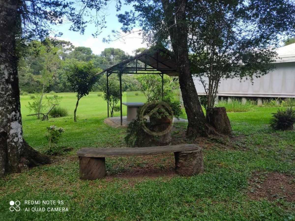 Terreno, 1 hectares - Foto 6