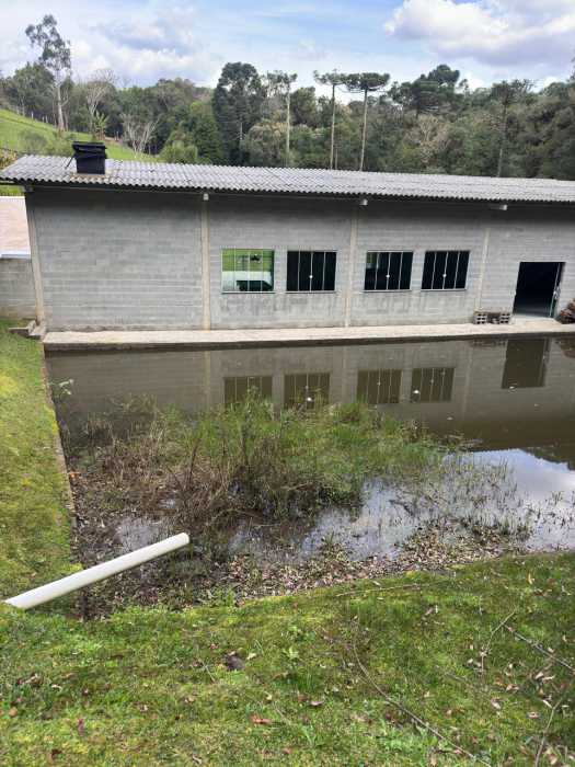 Chácara, 4 quartos - Foto 6