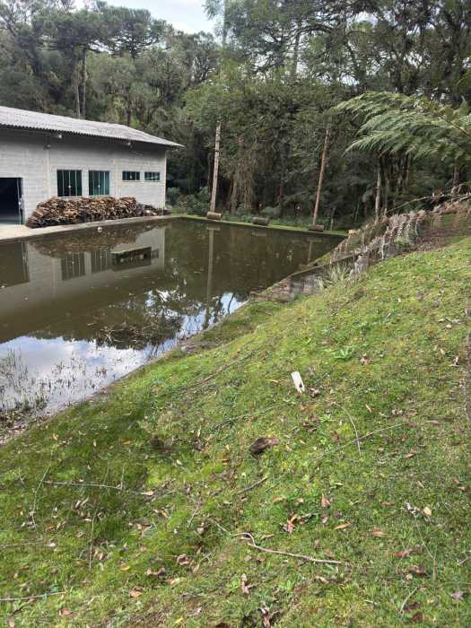 Chácara, 4 quartos - Foto 7
