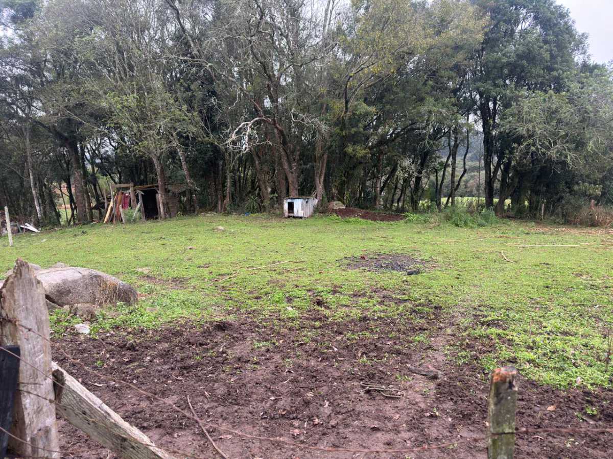 Chácara, 3 quartos - Foto 15