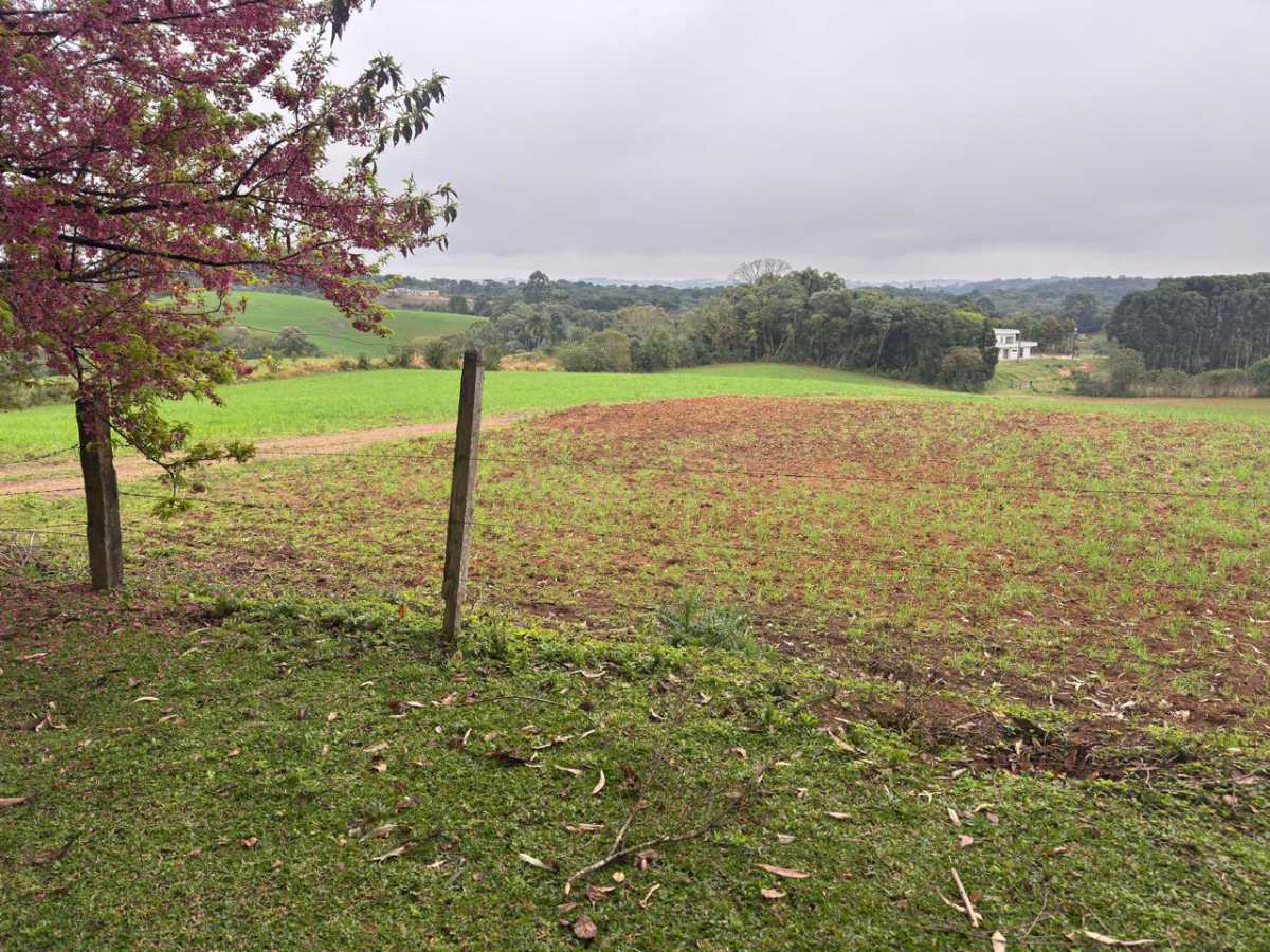 Chácara, 3 quartos - Foto 19