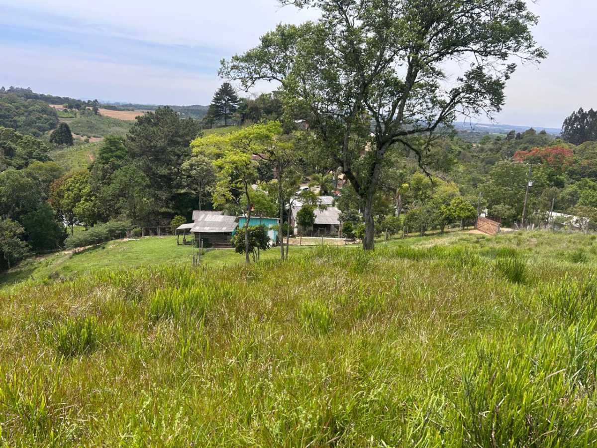 Chácara, 3 quartos - Foto 2