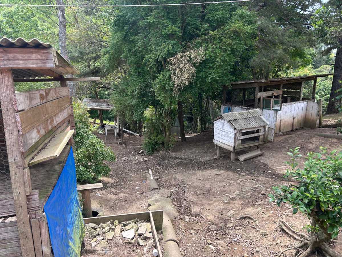 Chácara, 3 quartos - Foto 9