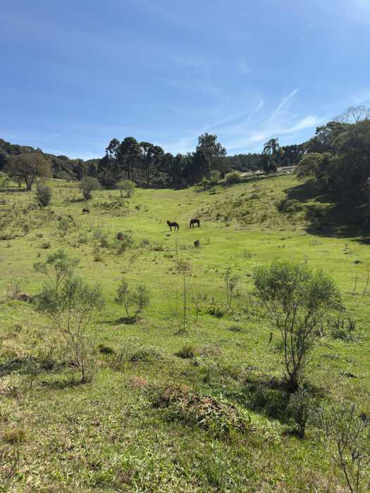 Chácara, 1 quarto - Foto 1