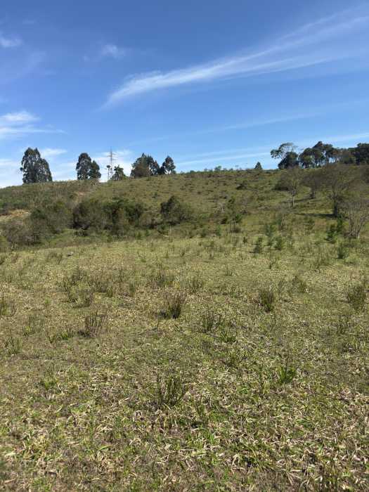 Chácara, 1 quarto - Foto 2