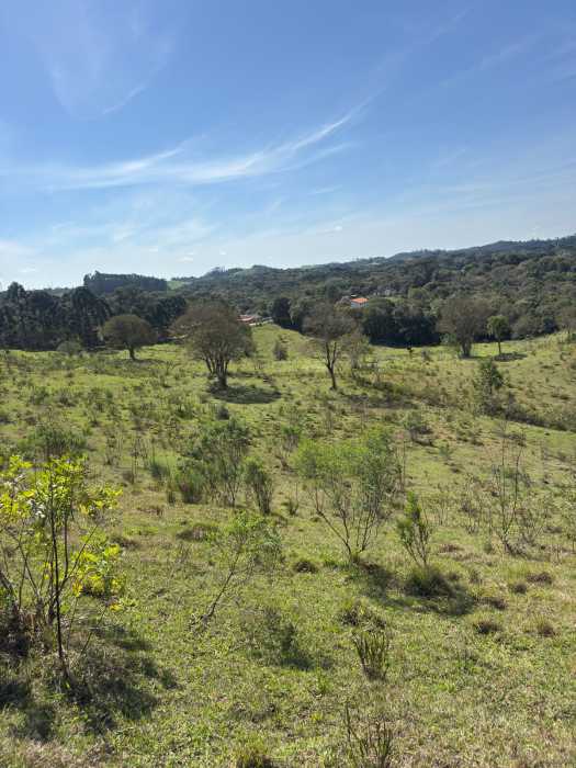 Chácara, 1 quarto - Foto 5