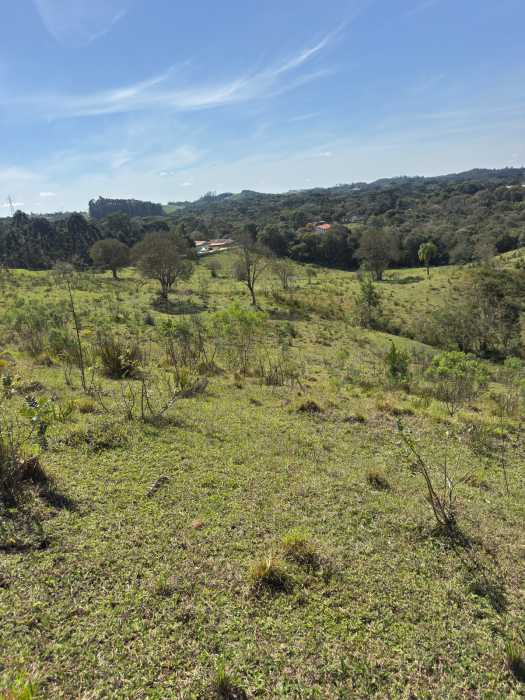Chácara, 1 quarto - Foto 6