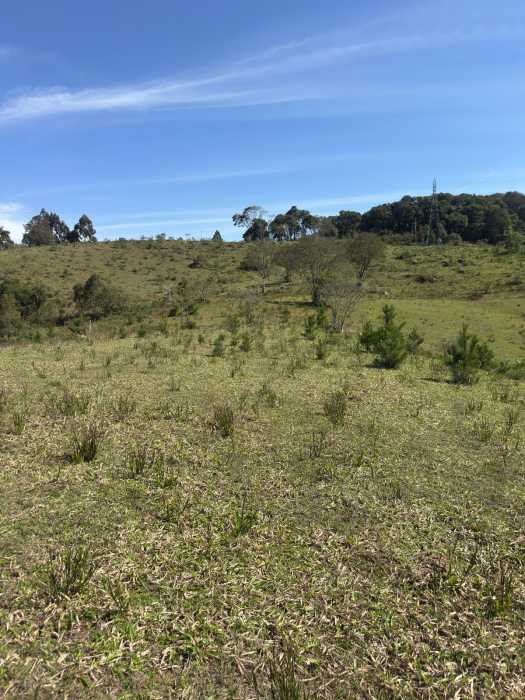 Chácara, 1 quarto - Foto 16