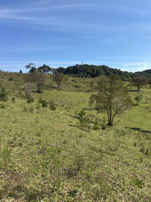 Chácara, 1 quarto - Foto 19