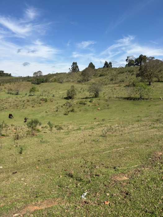 Chácara, 1 quarto - Foto 23