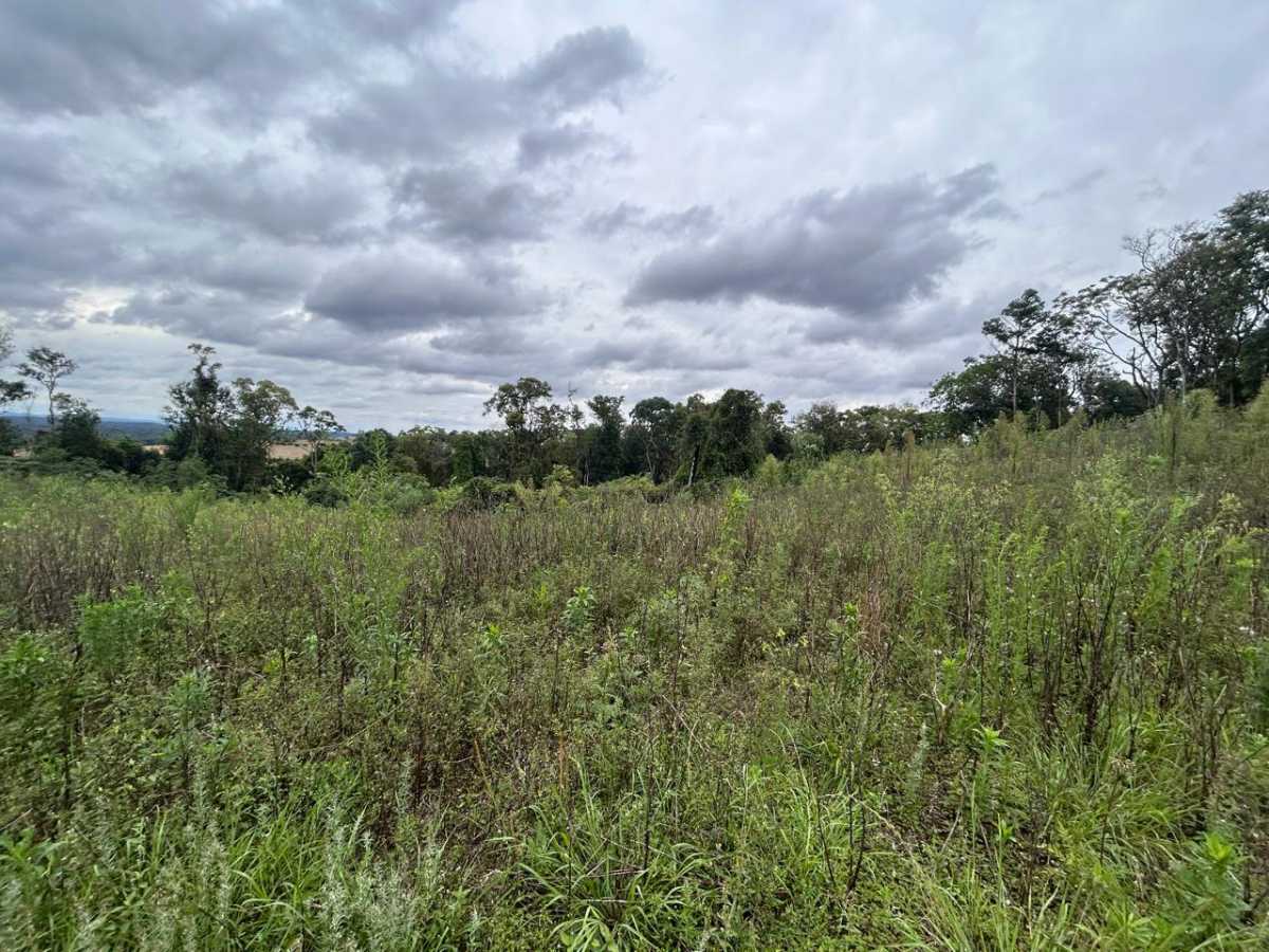 Terreno, 29 hectares - Foto 2