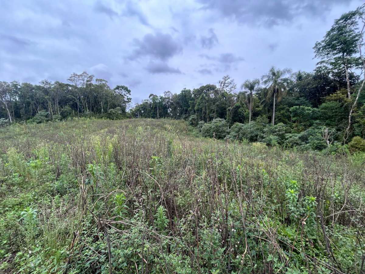Terreno, 29 hectares - Foto 6