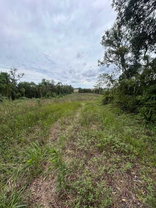 Terreno, 29 hectares - Foto 7