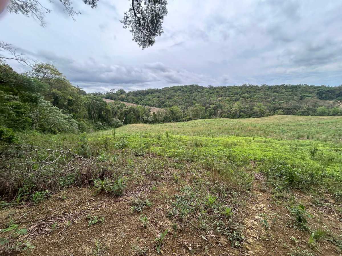 Terreno, 29 hectares - Foto 8
