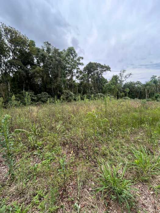 Terreno, 29 hectares - Foto 9
