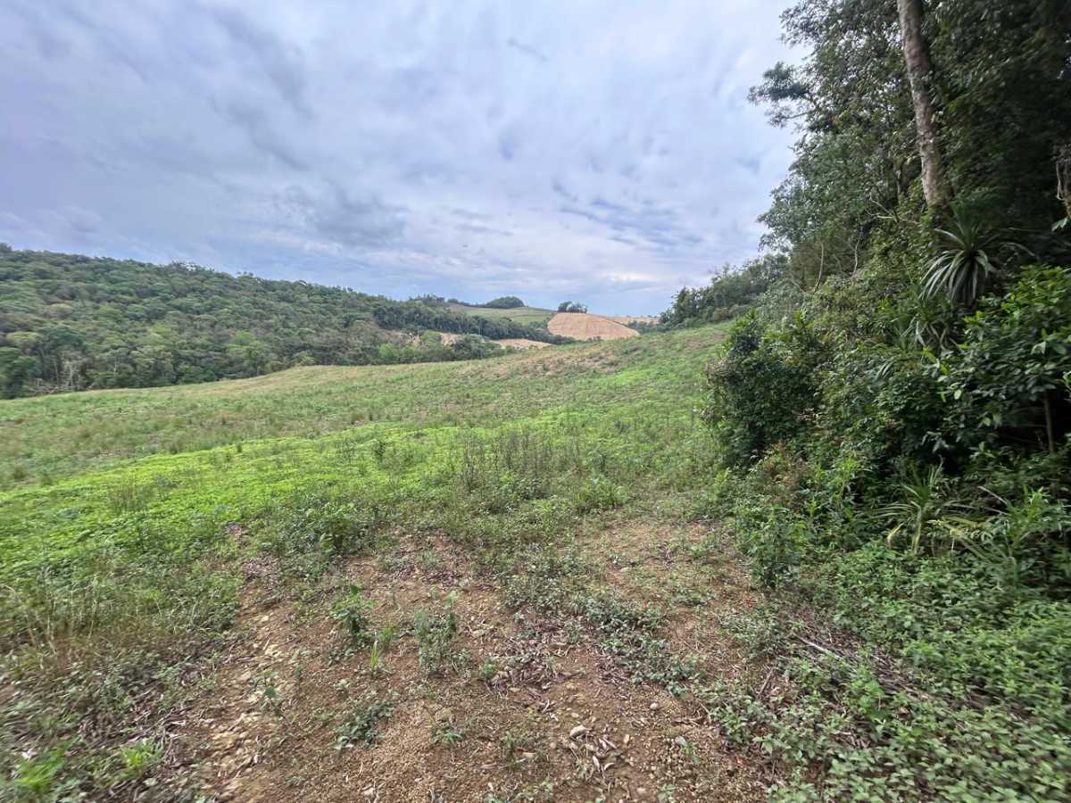 Terreno, 29 hectares - Foto 10