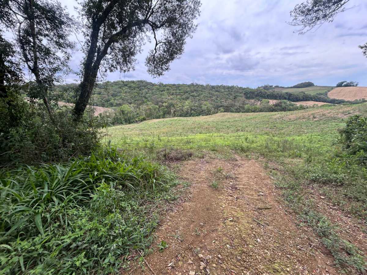 Terreno, 29 hectares - Foto 11