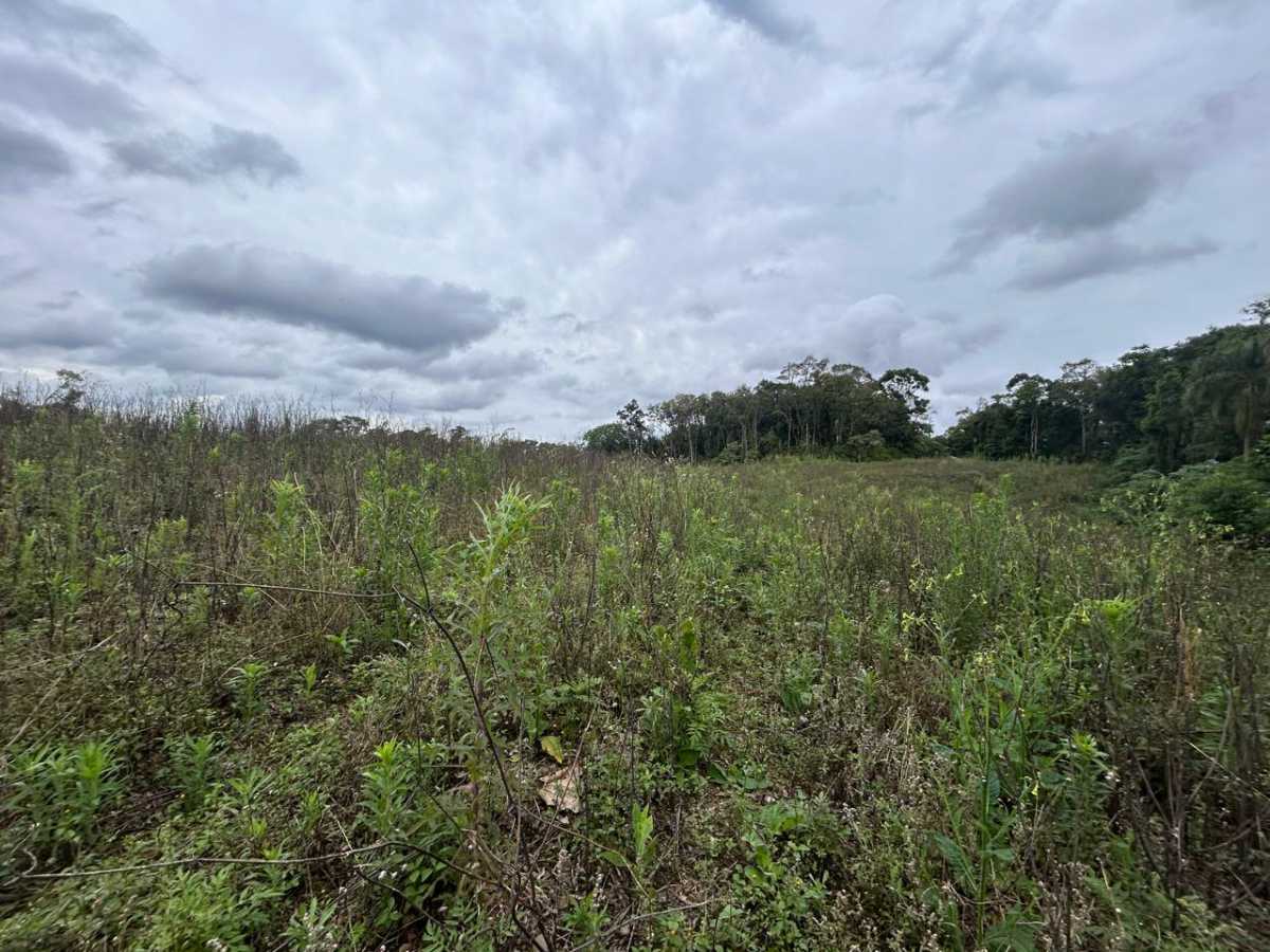 Terreno, 29 hectares - Foto 12