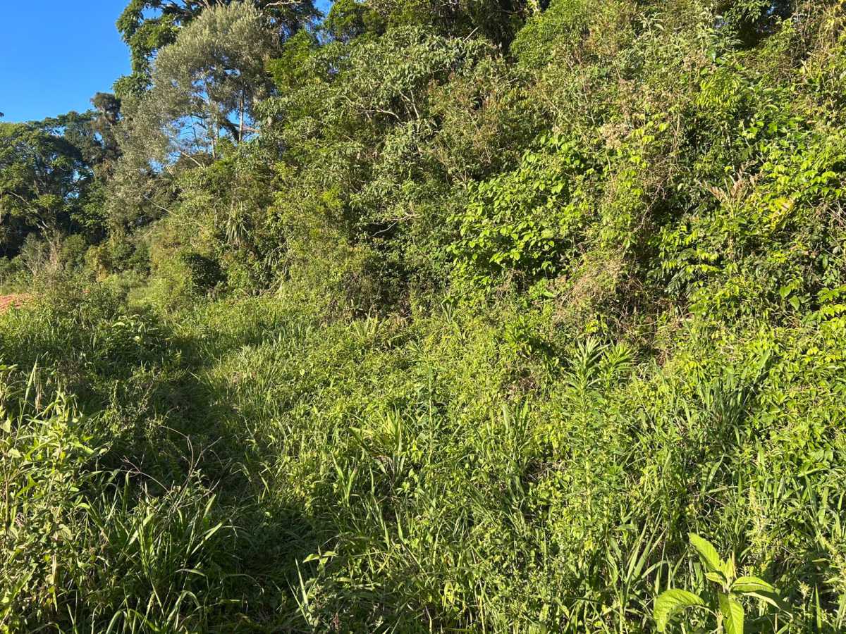 Terreno, 29 hectares - Foto 14