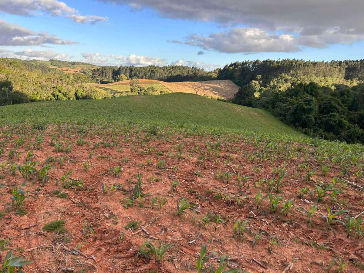 Terreno, 29 hectares - Foto 16