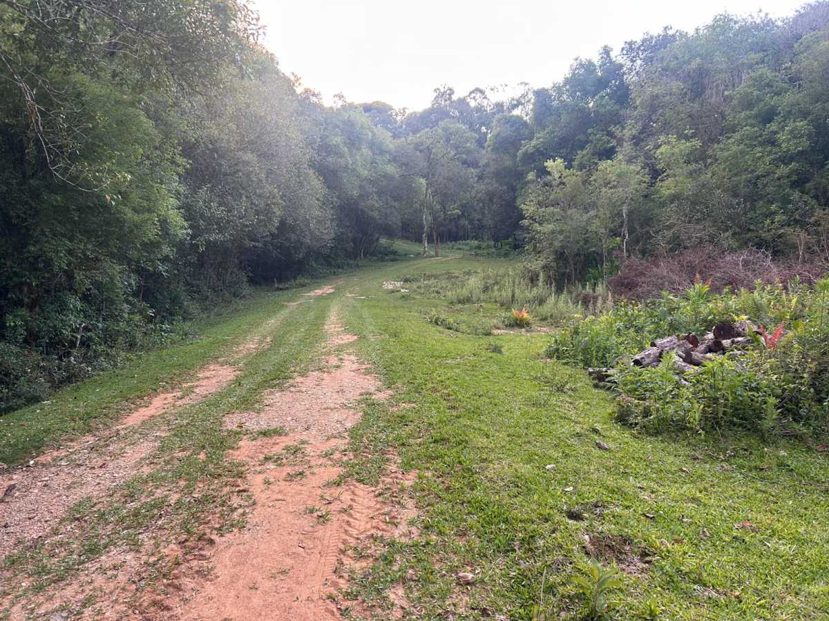 Terreno, 29 hectares - Foto 17
