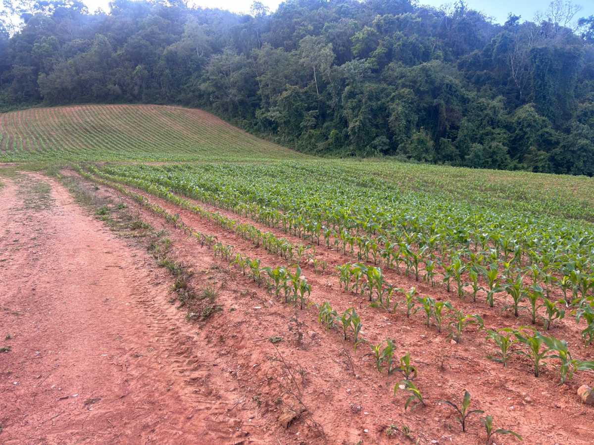 Terreno, 29 hectares - Foto 18
