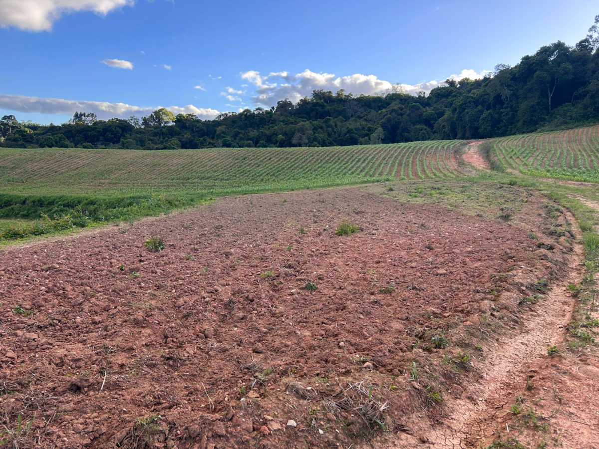 Terreno, 29 hectares - Foto 19