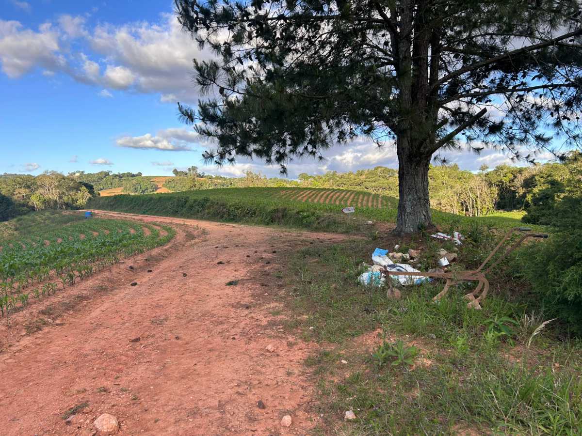 Terreno, 29 hectares - Foto 20