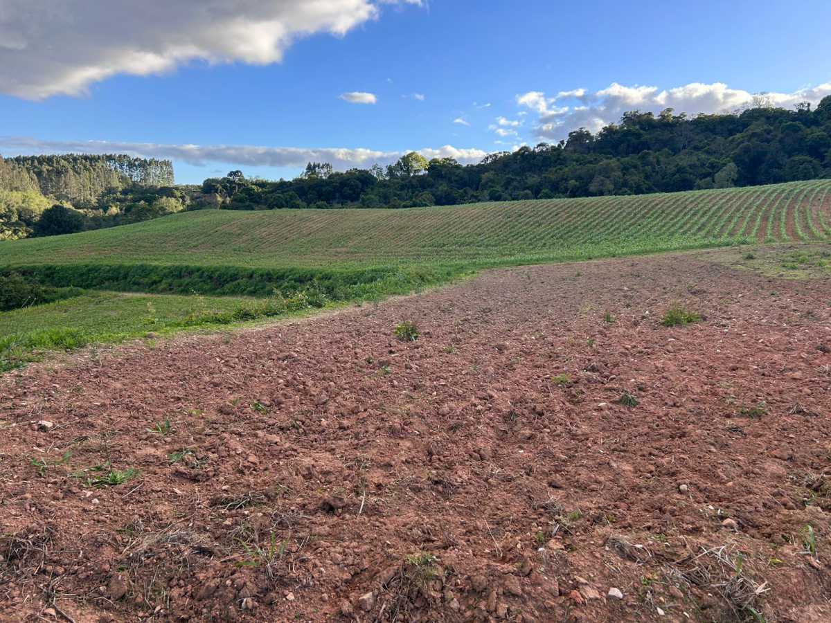 Terreno, 29 hectares - Foto 25