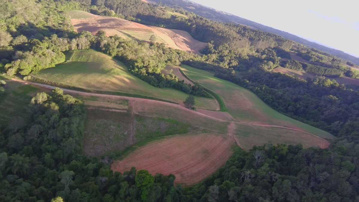 Terreno, 29 hectares - Foto 26