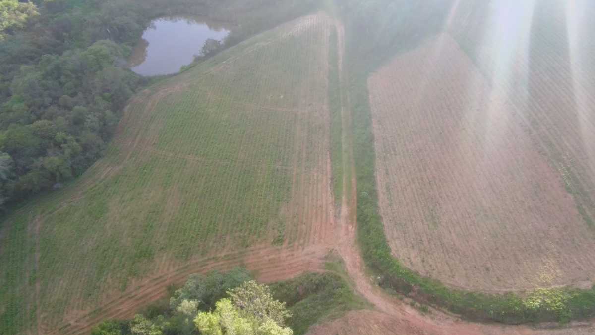 Terreno, 29 hectares - Foto 27