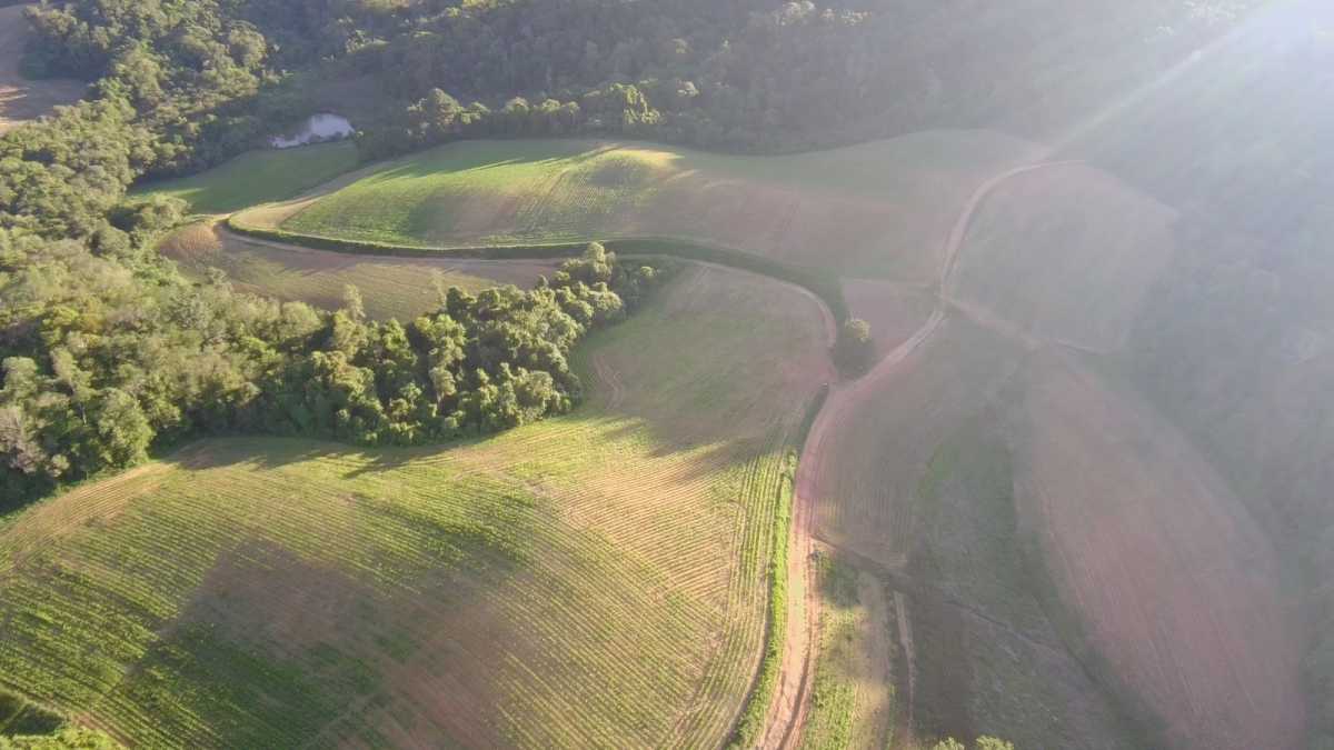 Terreno, 29 hectares - Foto 28