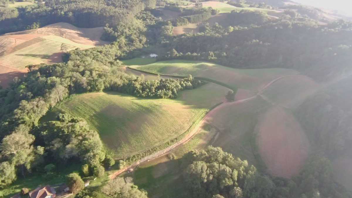 Terreno, 29 hectares - Foto 29