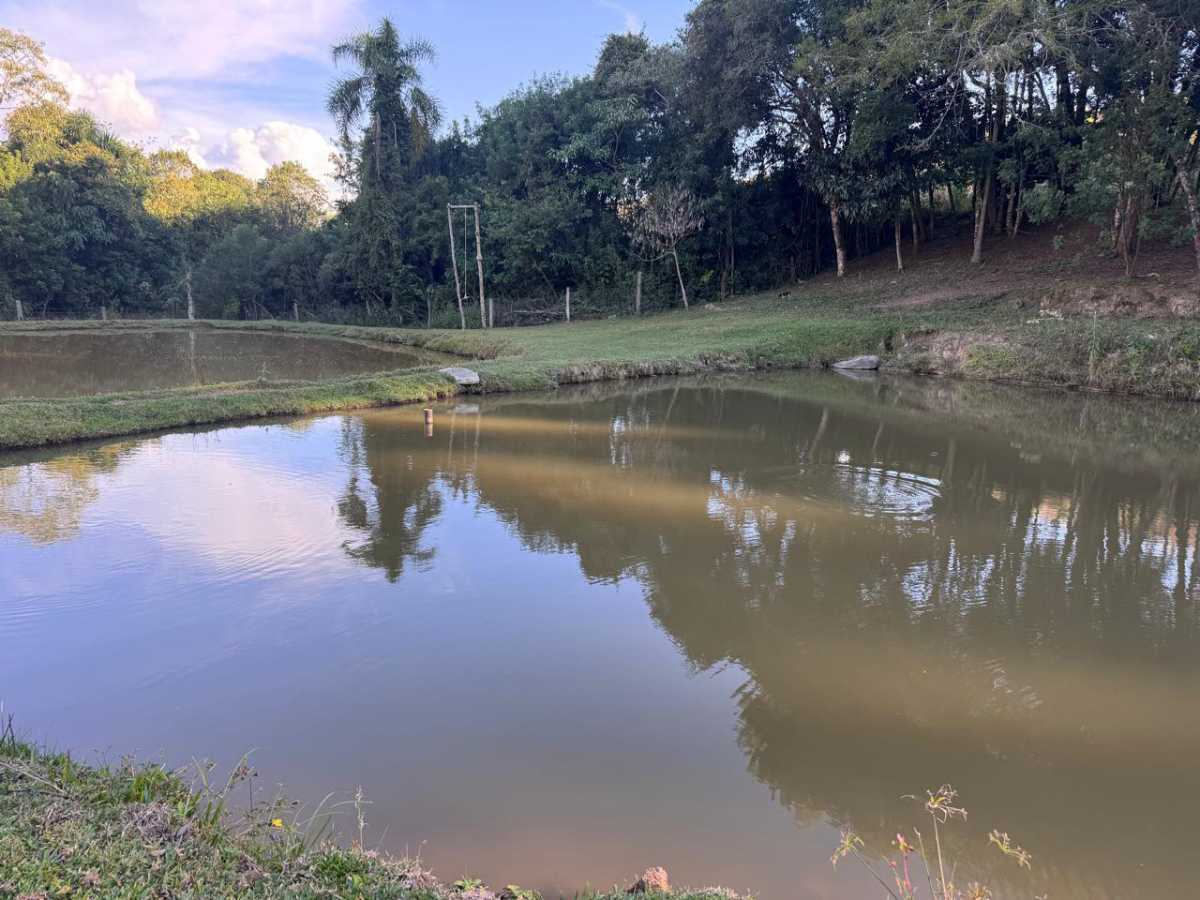 Chácara, 3 quartos - Foto 10