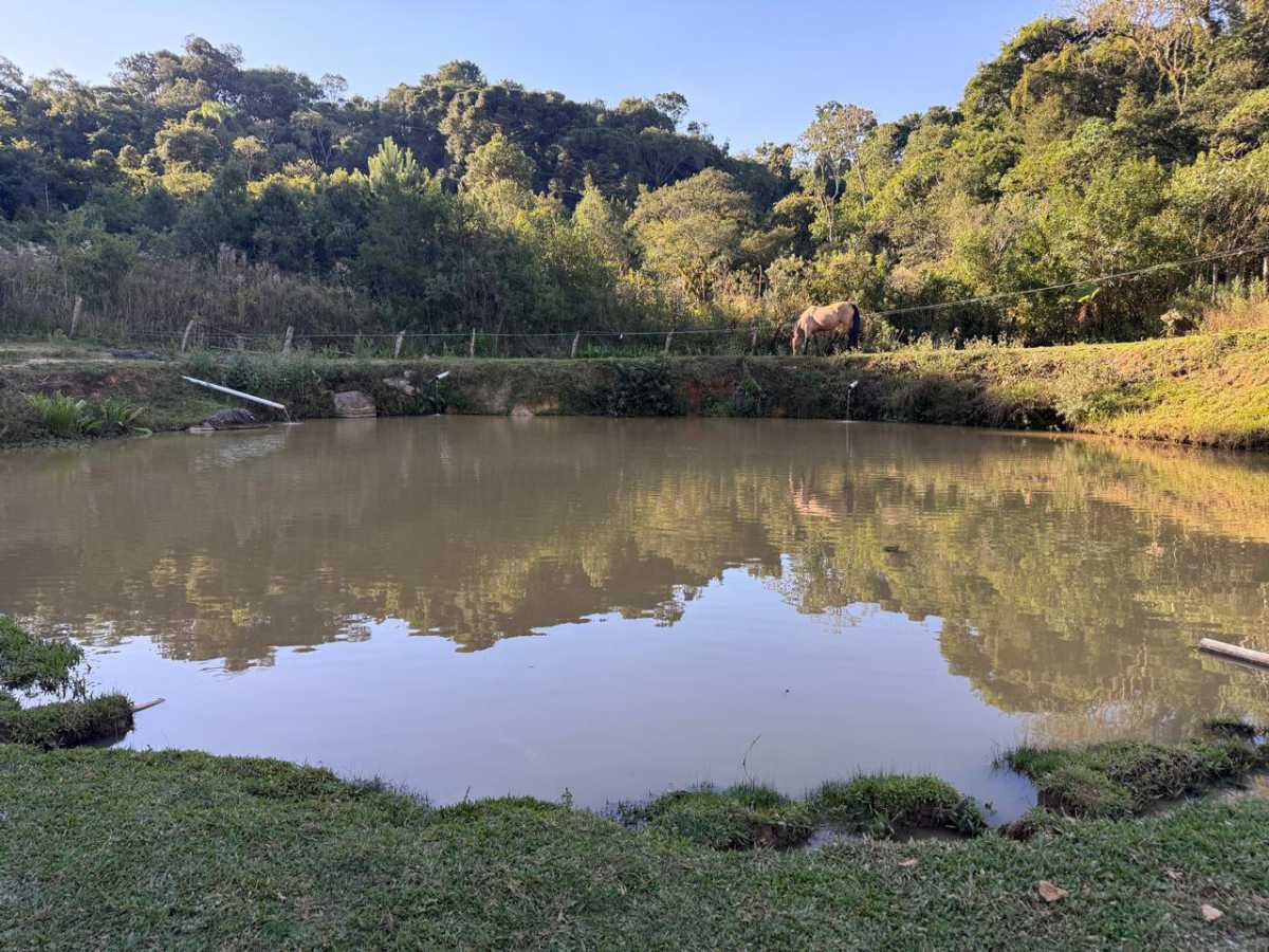Chácara, 3 quartos - Foto 14