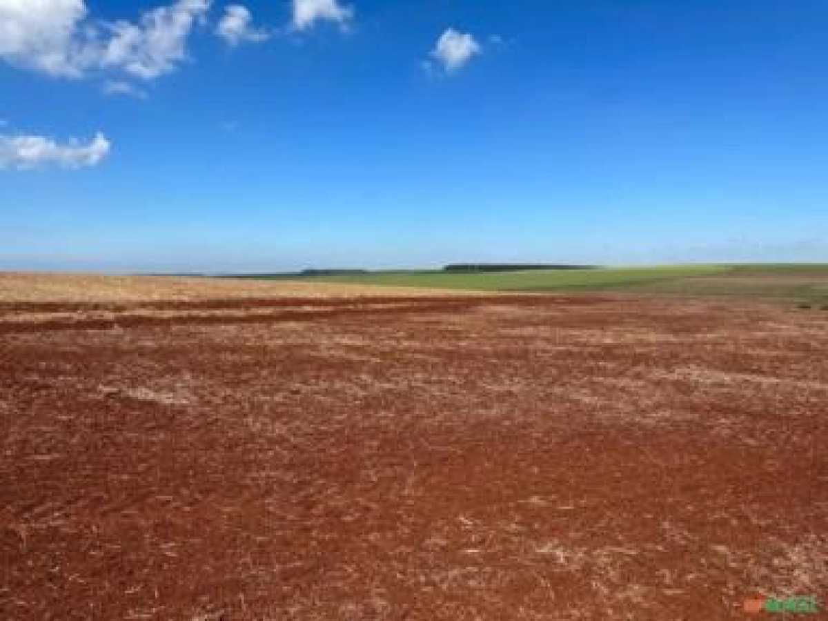 Fazenda, 3 quartos - Foto 5