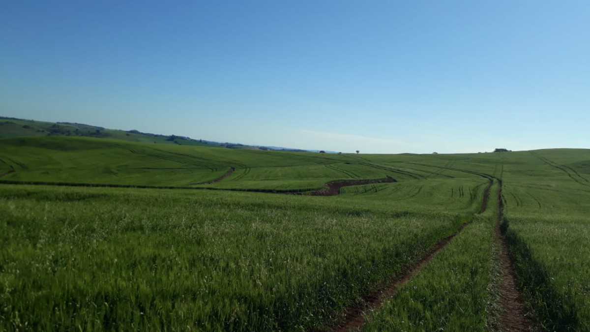 Fazenda, 3 quartos - Foto 5